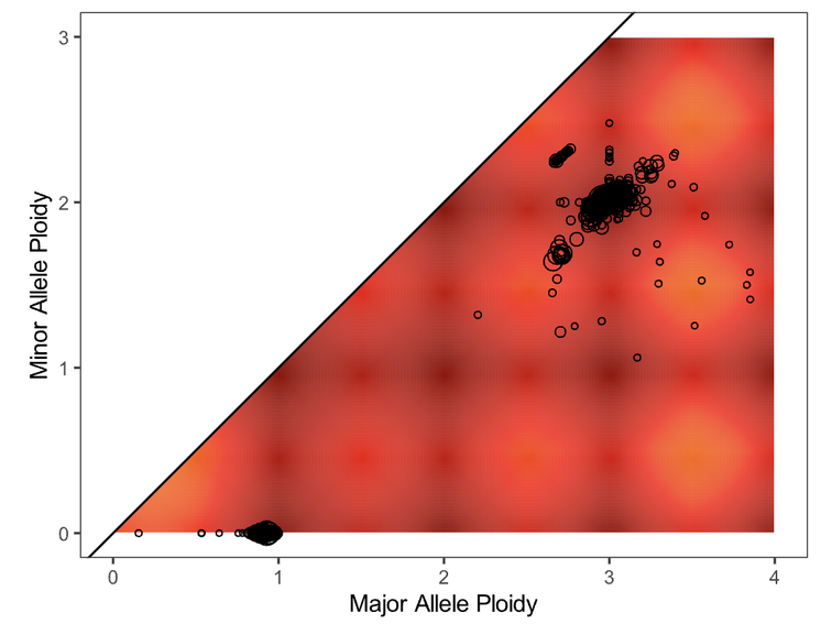alt-ploidy-img