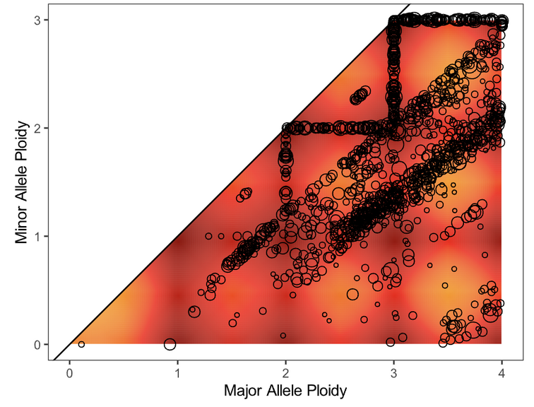 bad-ploidy-img