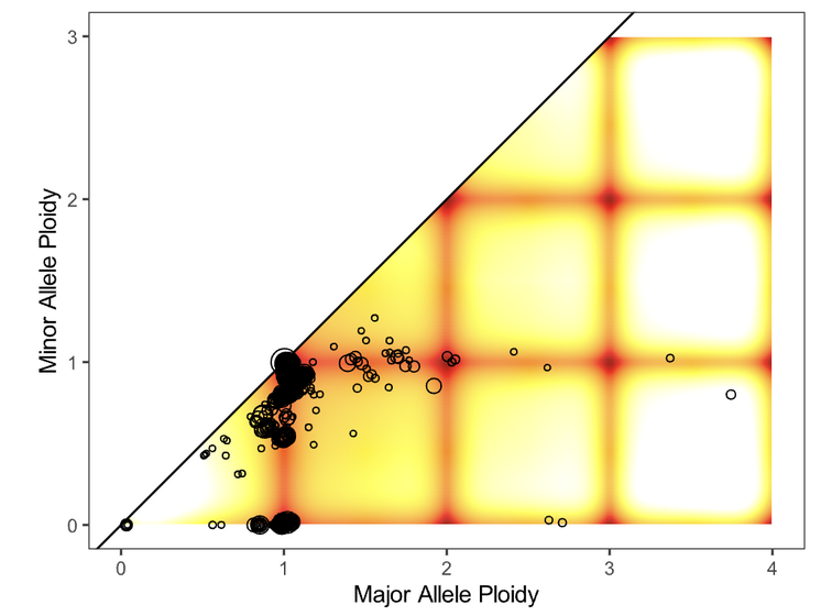 good-ploidy-img